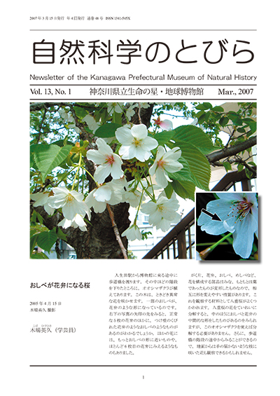 自然科学のとびら Vol.13 No.1 表紙