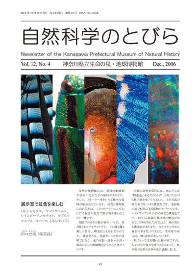 自然科学のとびら Vol.12,No.4 表紙