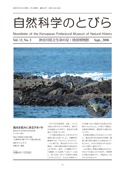 自然科学のとびら Vol.12,No.3 表紙