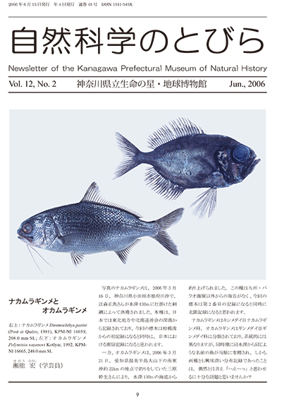 自然科学のとびら Vol.12 No.2 表紙