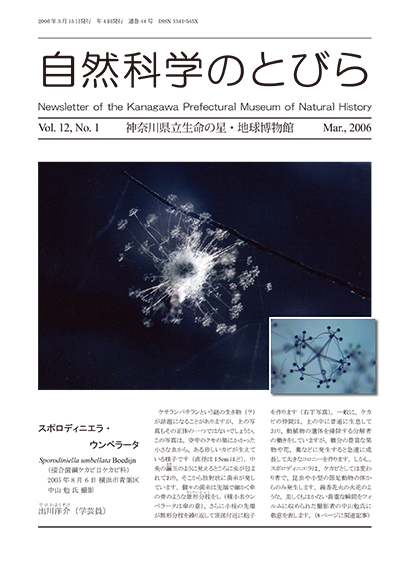 自然科学のとびら Vol.12,No.1 表紙