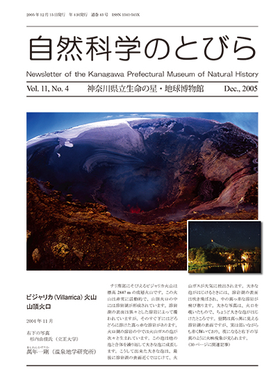 自然科学のとびら Vol.11 No.4 表紙