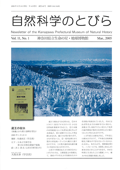 自然科学のとびら Vol.11 No.1 表紙