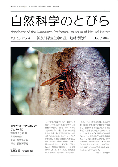 自然科学のとびら Vol.10,No.4 表紙