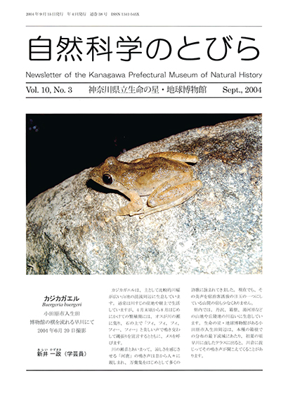 自然科学のとびら Vol.10 No.3 表紙