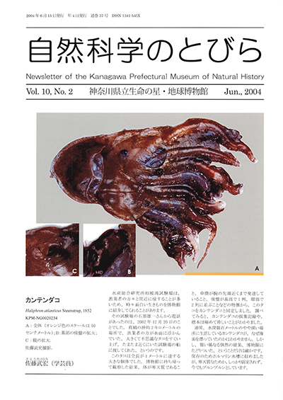 自然科学のとびら Vol.10,No.2 表紙