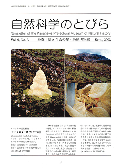 自然科学のとびら Vol.9,No.3 表紙