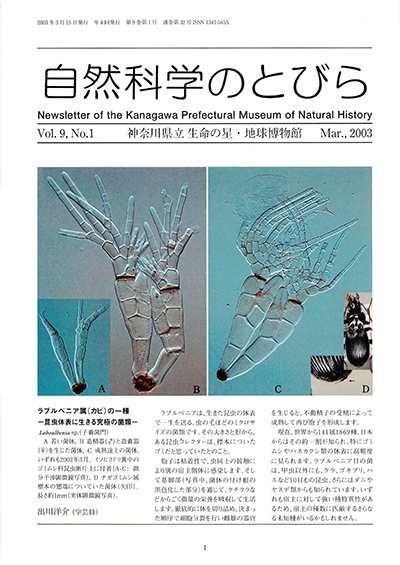 自然科学のとびら Vol.9 No.1 表紙
