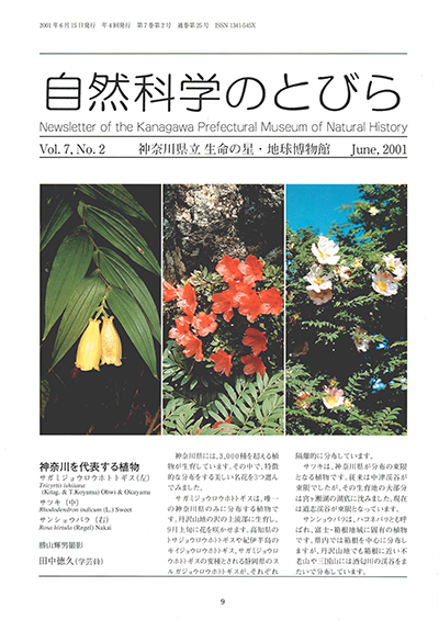 自然科学のとびら Vol.7,No.2 表紙