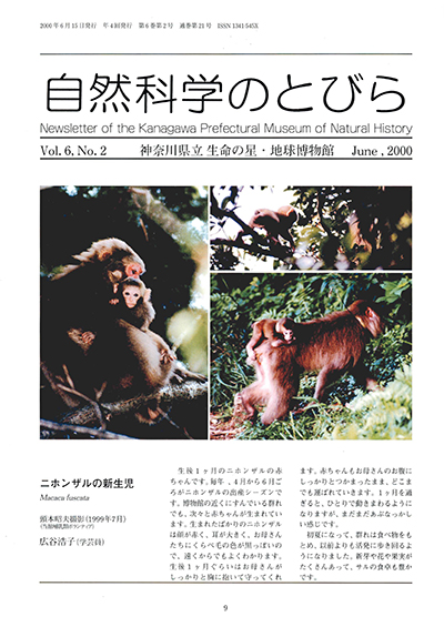 自然科学のとびら Vol.6,No.2 表紙
