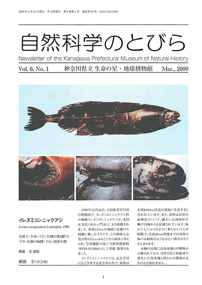 自然科学のとびら Vol.6 No.1 表紙
