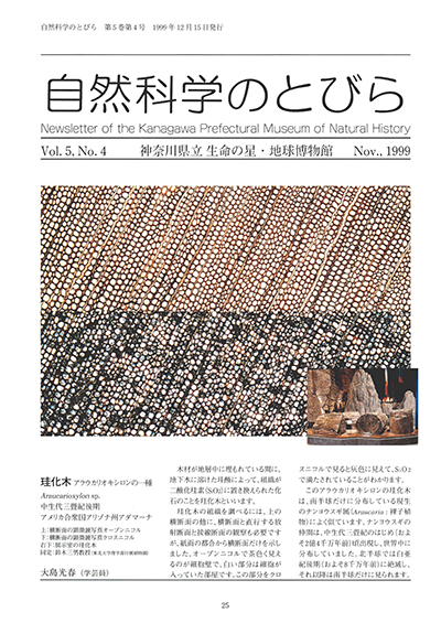 自然科学のとびら Vol.5,No.4 表紙