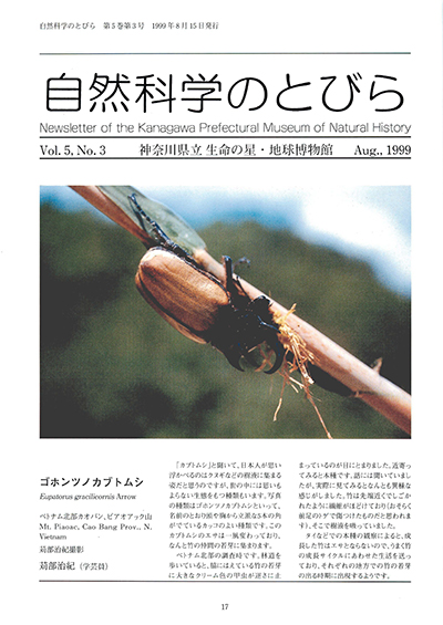自然科学のとびら Vol.5,No.3 表紙