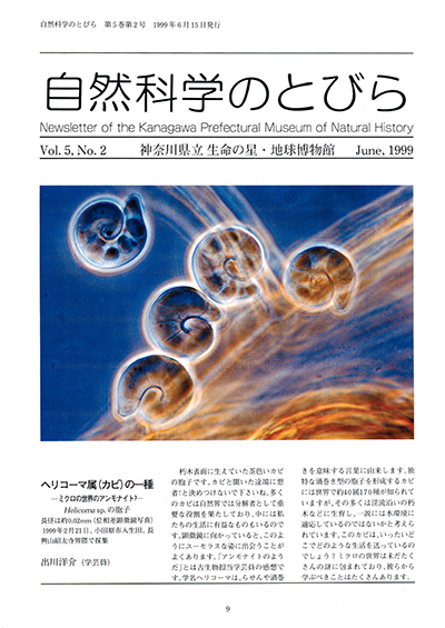 自然科学のとびら Vol.5,No.2 表紙
