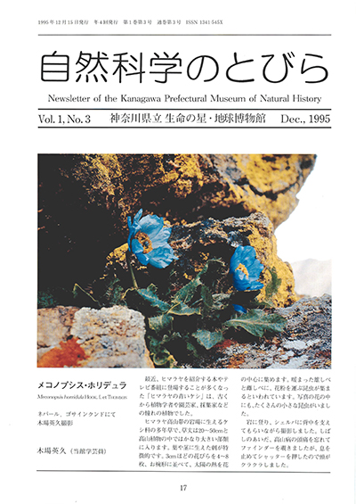自然科学のとびら Vol.1,No.3 表紙