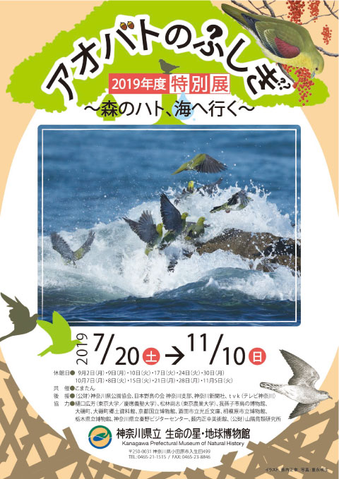 アオバト特別展＿チラシ表