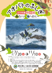 アオバト特別展＿チラシ表＿小