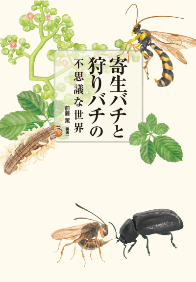 奇生バチと狩りバチの不思議な世界　表紙