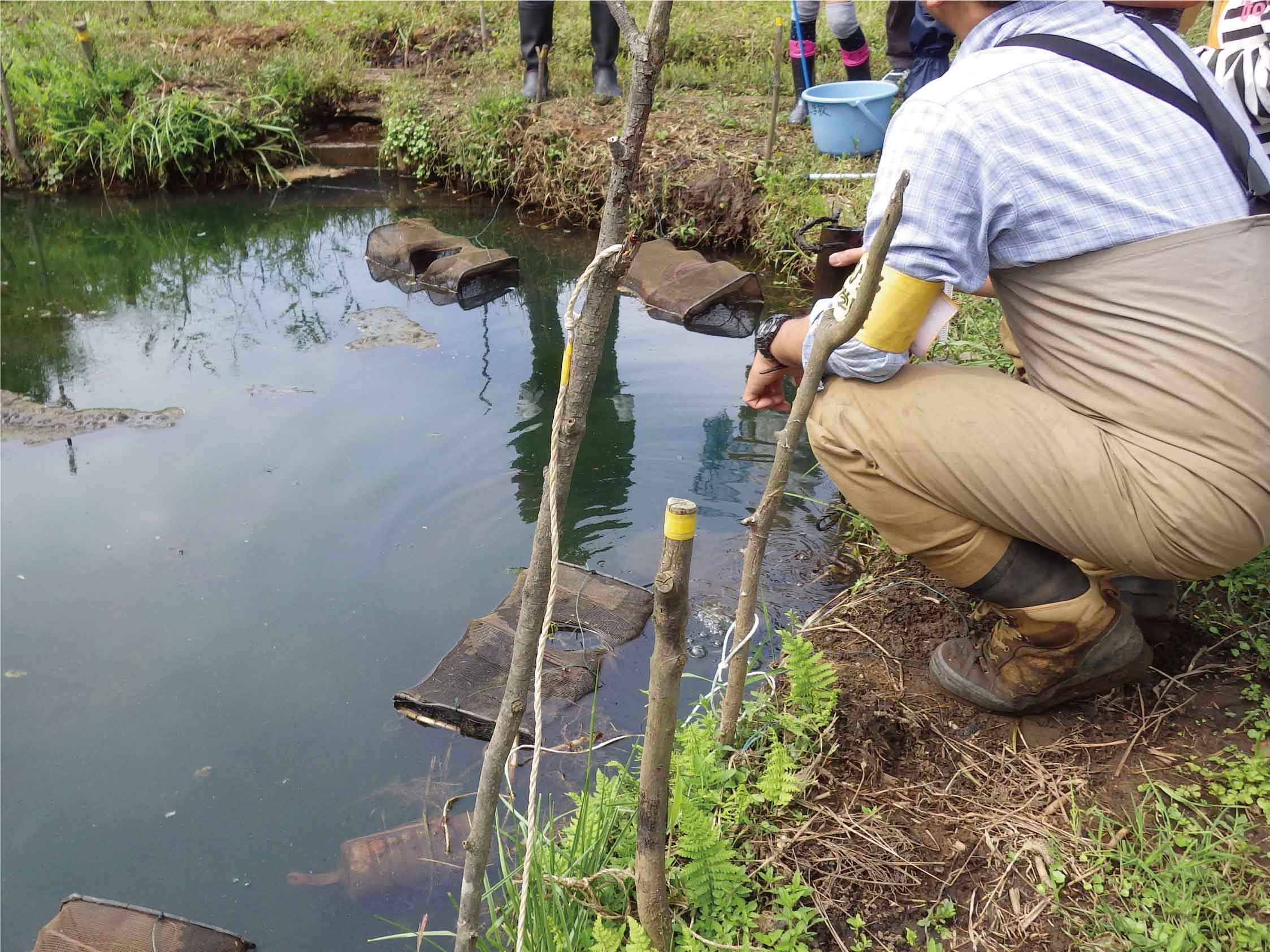 公園内の水域の様子