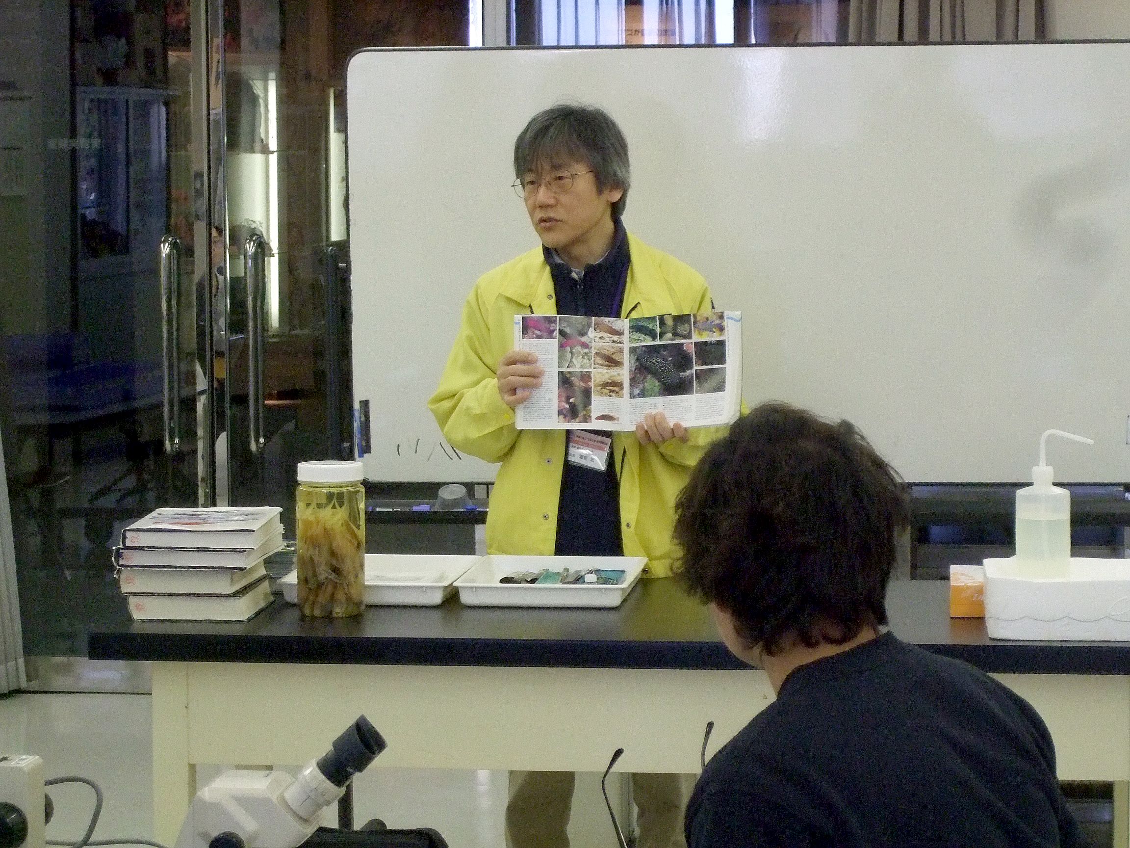 説明する学芸員