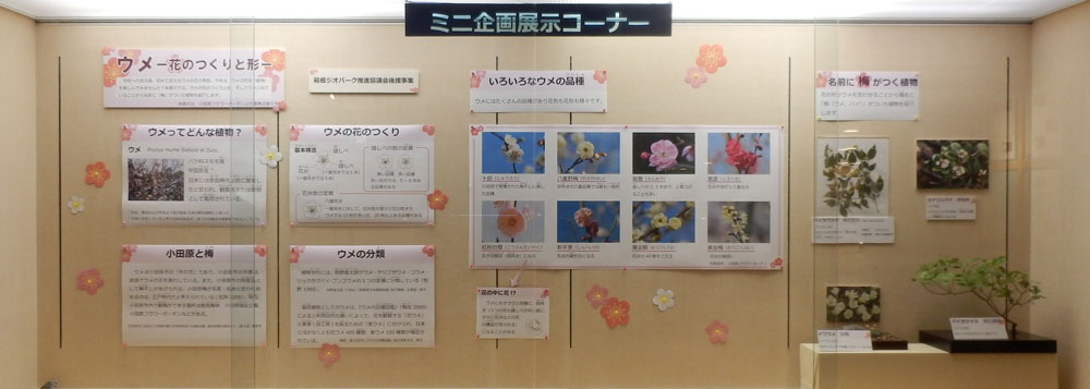 ミニ企画展展示イメージ