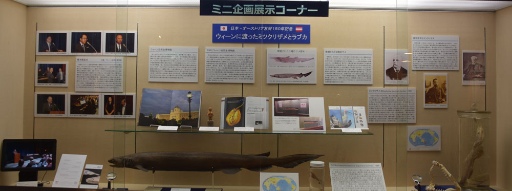 ミニ企画展展示イメージ