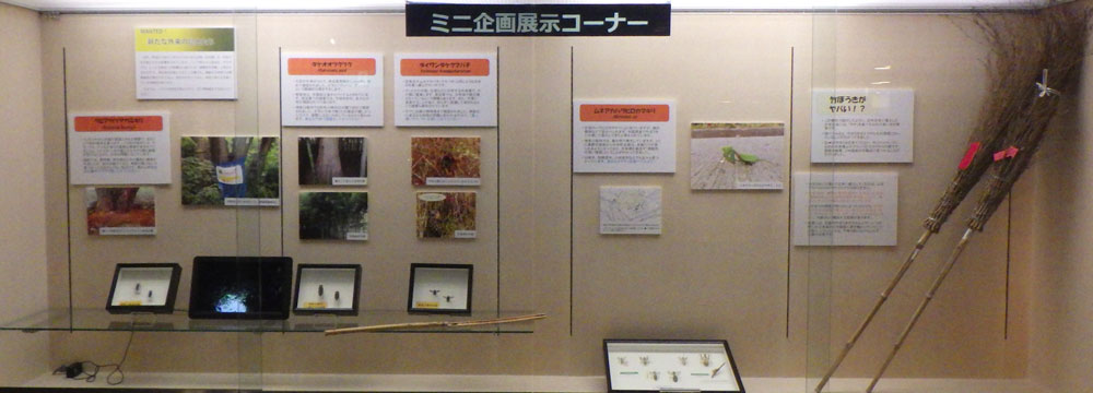ミニ企画展示イメージ
