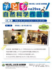 2017年度子ども自然科学作品展チラシ