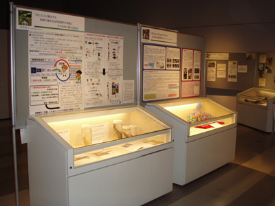 展示の様子1