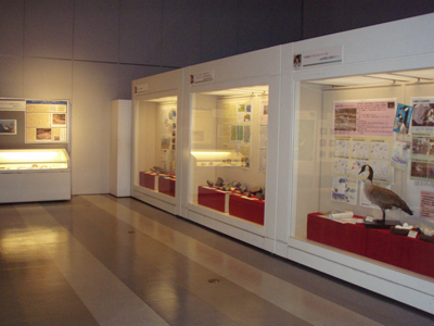 展示の様子2