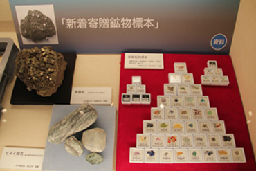 展示の様子6