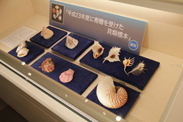 展示の様子7