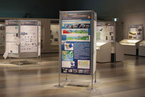 展示の様子3