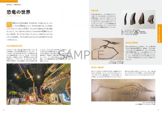 展示解説書＿サンプル