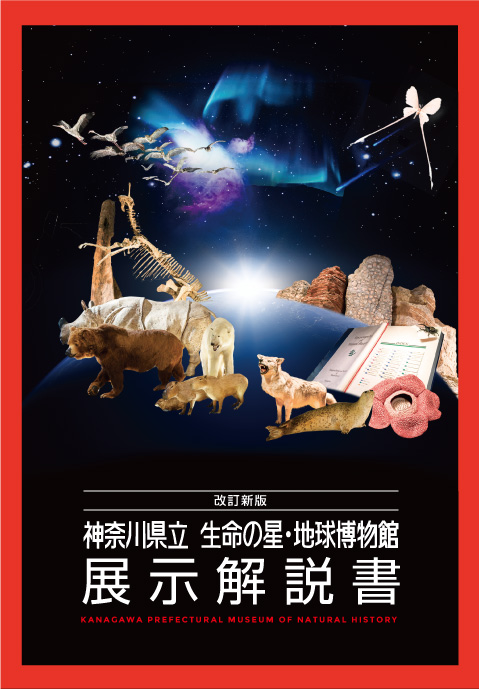展示解説書＿画像