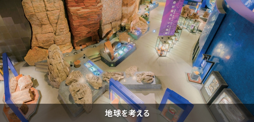 地球を考えるの全景