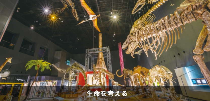 生命を考える全景（大）写真