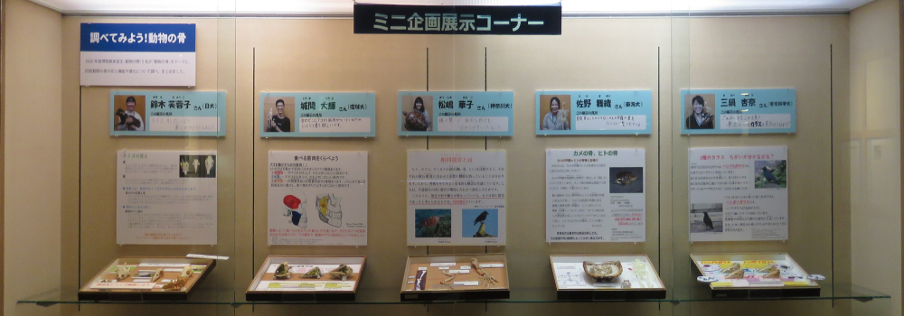 ミニ企画展展示イメージ