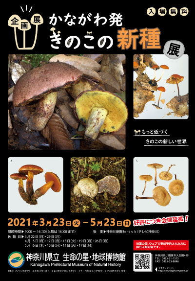2020年度 企画展 かながわ発きのこの新種展　