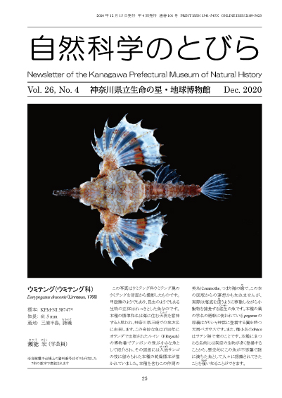 自然科学のとびら Vol.26,No.4 表紙