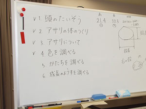 説明画像1