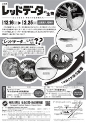企画展「レッドデータ」チラシうら