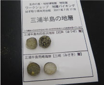 はぎとった地層をコレクションする