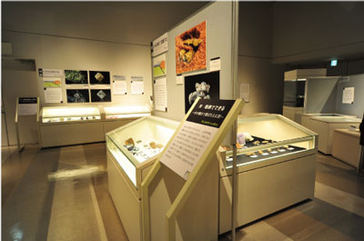 地表でできるの展示コーナー