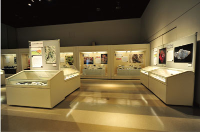 大地の熱と力を受けてできるの展示コーナー