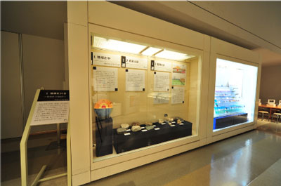 地球をつくるの展示コーナー
