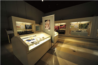 熱い水の中でできるの展示コーナー