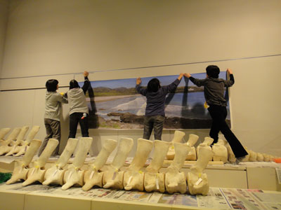 壁面の展示を進める