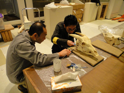 展示物の細かな調整