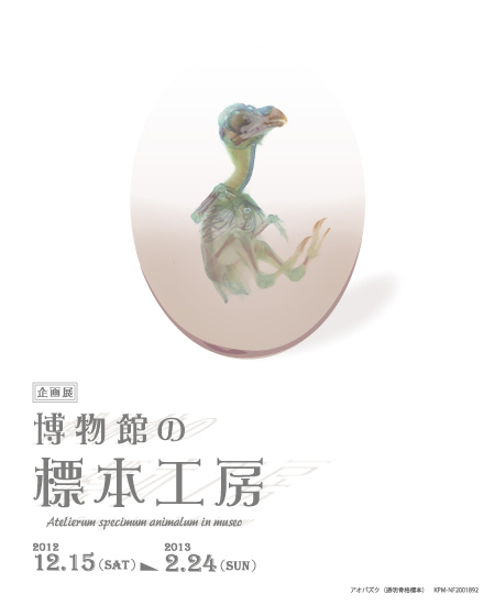 企画展「標本工房展」